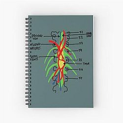 Grey's Anatomy Notebook