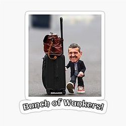 Guenther Steiner Funny Sticker