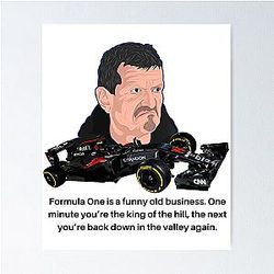 Guenther Steiner funny quotes Poster