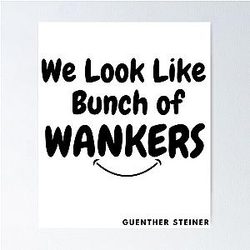 Guenther Steiner funny quotes Poster