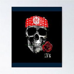 Skull art Guns N' Roses Poster