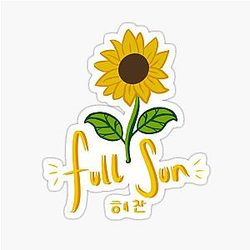 NCT Haechan Full Sunflower Glossy Sticker