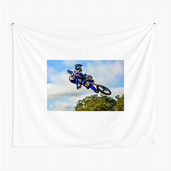 Haiden Deegan is very popular on social media Haiden Deegan Tapestries