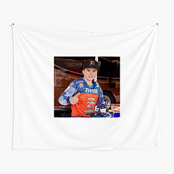Haiden Deegan's father is Brian Deegan Haiden Deegan Tapestries