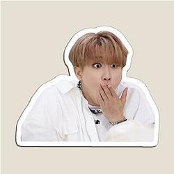 Han Jisung Meme Stray Kids Magnet