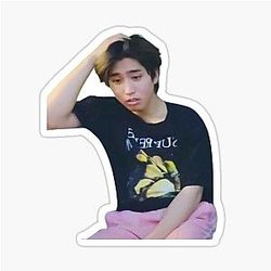 Han Jisung meme sticker