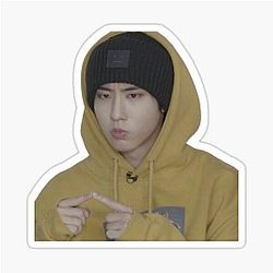 Han Jisung Stray Kids Stickers