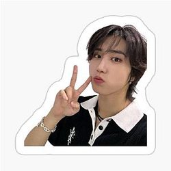 Han Jisung Peace Selca