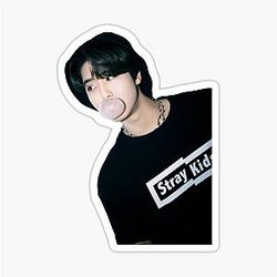 Stray Kids Han Jisung We Go Bucket Hat Sticker
