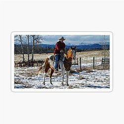 Jack rides Paint Heartland sticker