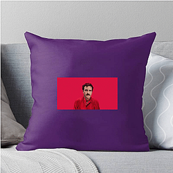 Her Fan Art Her Pillows Cover