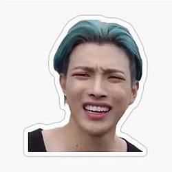 Disgusted Hongjoong Sticker