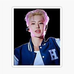 Seventeen Hoshi Sticker