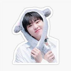 Seventeen Hoshi Sticker