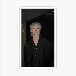 Seventeen Hoshi Sticker