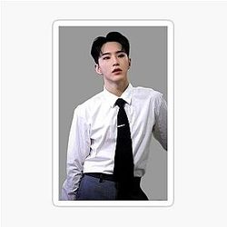 Seventeen Hoshi Sticker