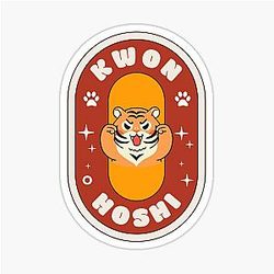 Seventeen Hoshi Retro Stickers