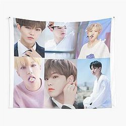 Seventeen Hoshi Tapestry