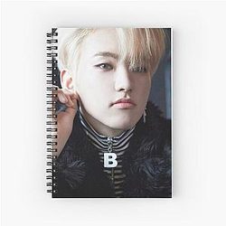 Hoshi - Seventeen Spiral Notebook