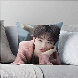 Hoshi Seventeen Pillow