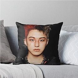 Hoshi Seventeen Throw Pillow