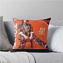 HOSHI French Artist Throw Pillow
