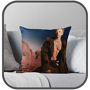 Hoshi Pillows Cover