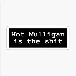 Hot Mulligan is the shit Sticker