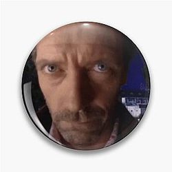 Low Quality House Meme Pin