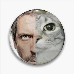 House Meme Pin