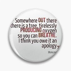 Somewhere Out There House MD Pin