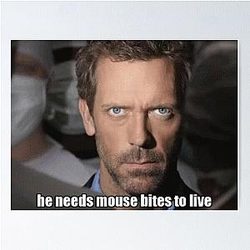 House M.D. - He Needs Mouse Bites to Survive Poster