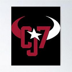 Art Houston Texans Poster