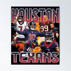 Art Houston Texans Poster