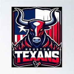 Houston Texans Poster