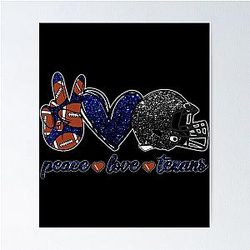 Art Houston Texans Poster