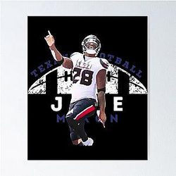 Art Houston Texans Poster
