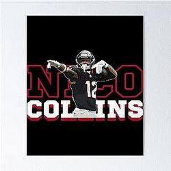 Art Houston Texans Poster