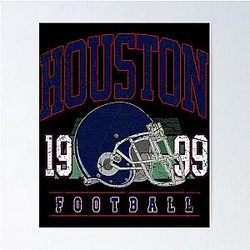 Art - Houston Texans Poster