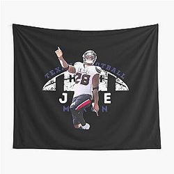 Art Houston Texans Tapestry