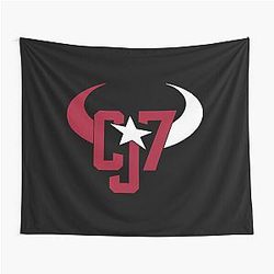 Art Houston Texans Tapestry