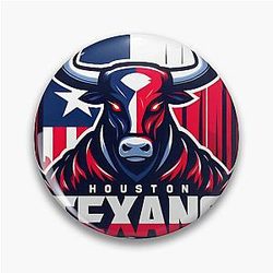 Art Houston Texans Pin