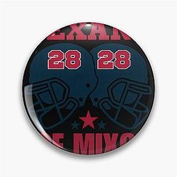 Art Houston Texans Pin