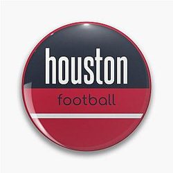 Art Houston Texans Pin
