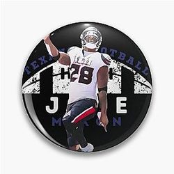 Art for Houston Texans Pin
