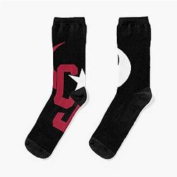 Art Houston Texans Socks