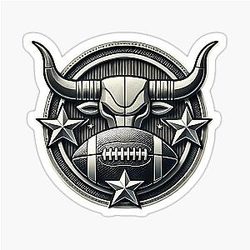 Houston Texans Sticker