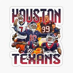 Art Houston Texans Sticker
