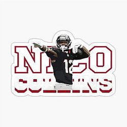 Art Houston Texans Sticker