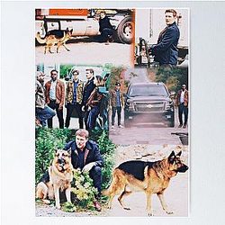 Hudson Rex Poster